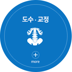 도수.교정